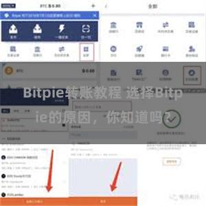 Bitpie转账教程 选择Bitpie的原因，你知道吗？