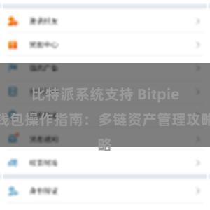 比特派系统支持 Bitpie钱包操作指南：多链资产管理攻略