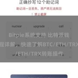 Bitpie系统支持 比特派钱包转账教程详解，快速了解BTC/ETH/TRX转账操作