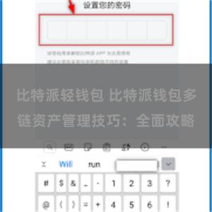 比特派轻钱包 比特派钱包多链资产管理技巧：全面攻略