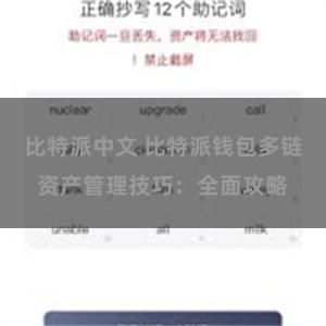 比特派中文 比特派钱包多链资产管理技巧：全面攻略