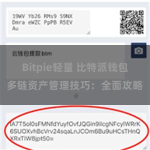 Bitpie轻量 比特派钱包多链资产管理技巧：全面攻略