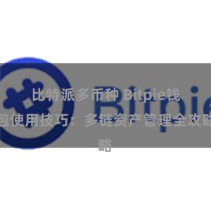 比特派多币种 Bitpie钱包使用技巧：多链资产管理全攻略