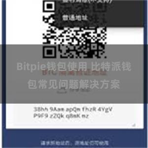 Bitpie钱包使用 比特派钱包常见问题解决方案