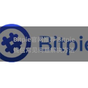 Bitpie官网推荐 Bitpie钱包常见问题解决方法