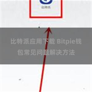 比特派应用下载 Bitpie钱包常见问题解决方法