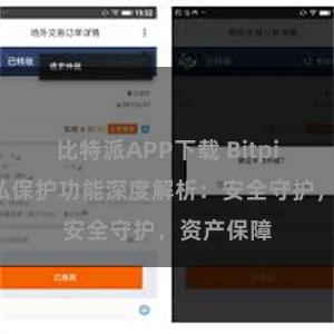 比特派APP下载 Bitpie钱包隐私保护功能深度解析：安全守护，资产保障