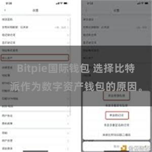 Bitpie国际钱包 选择比特派作为数字资产钱包的原因。