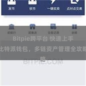 Bitpie跨平台 快速上手比特派钱包，多链资产管理全攻略