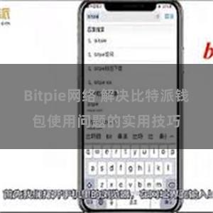 Bitpie网络 解决比特派钱包使用问题的实用技巧