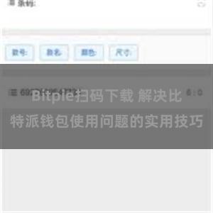 Bitpie扫码下载 解决比特派钱包使用问题的实用技巧