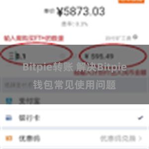 Bitpie转账 解决Bitpie钱包常见使用问题