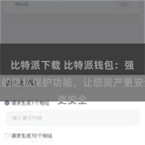 比特派下载 比特派钱包：强大的隐私保护功能，让您资产更安全