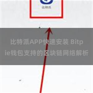 比特派APP快速安装 Bitpie钱包支持的区块链网络解析