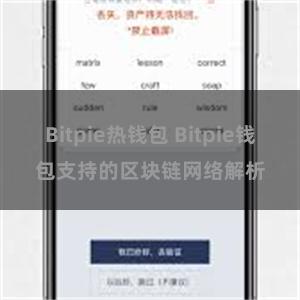 Bitpie热钱包 Bitpie钱包支持的区块链网络解析