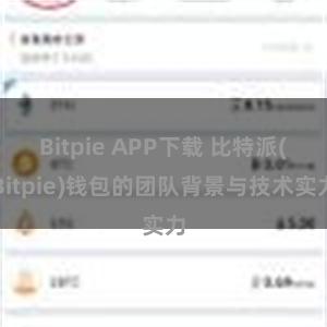 Bitpie APP下载 比特派(Bitpie)钱包的团队背景与技术实力