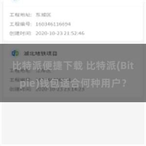 比特派便捷下载 比特派(Bitpie)钱包适合何种用户？