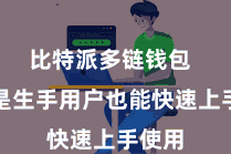 比特派多链钱包  即使是生手用户也能快速上手使用