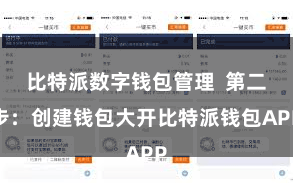 比特派数字钱包管理  第二步：创建钱包大开比特派钱包APP