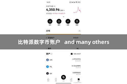 比特派数字币账户   and many others