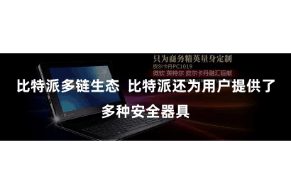 比特派多链生态  比特派还为用户提供了多种安全器具