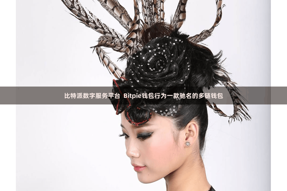 比特派数字服务平台  Bitpie钱包行为一款驰名的多链钱包