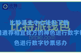 比特派去中心钱包下载  用户不错遴荐相宜我方的神色进行数字钞票惩办