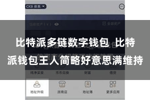 比特派多链数字钱包  比特派钱包王人简略好意思满维持