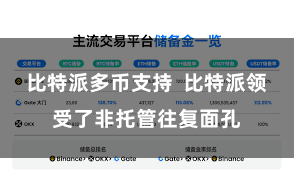 比特派多币支持  比特派领受了非托管往复面孔